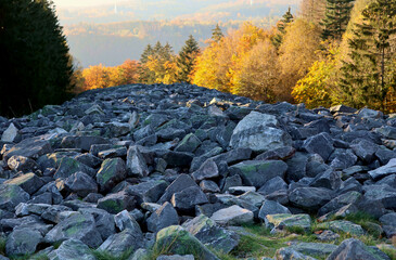In der Abendsonne scheinende Bäume im Herbst am keltischen Ringwall Hunnenring im Nationalpark...