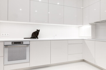 Black cat sitting on white worktop
