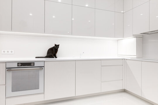 Black cat sitting on white worktop