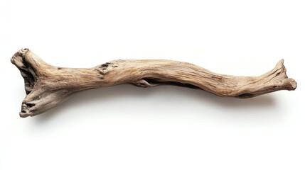 Fototapeta premium Isolated weathered driftwood branch.