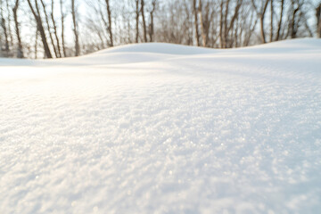 Fototapeta premium Close-up of snow with ripples and shadows on its surface, capturing the intricate textures and patterns formed by wind and light, creating a serene and detailed winter landscape