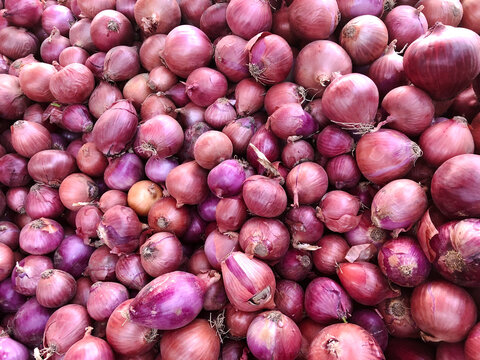 red onions background. Fresh red onion background top view