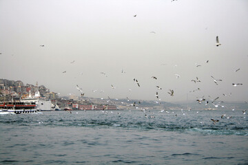 Journey to Istanbul. Spring 2010