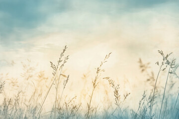 Obraz premium Wild grass in the forest at sunset. Macro image, shallow depth of field. Abstract summer nature background. Vintage filter 