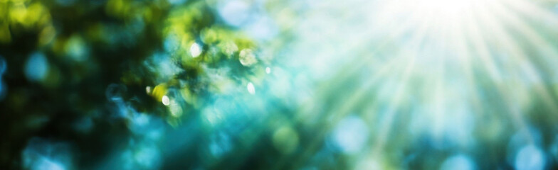 image of natural abstract background closeup
