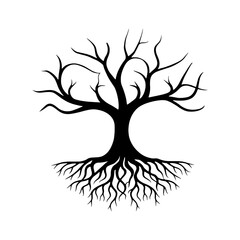 Obraz premium Dry tree silhouette with roots
