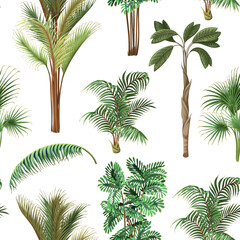 Seamless pattern with different palm trees. Tropical vector.