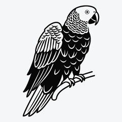 Fototapeta premium African Grey Parrot line art White background illustration Generative Ai
