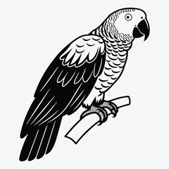 Fototapeta premium African Grey Parrot line art White background illustration Generative Ai