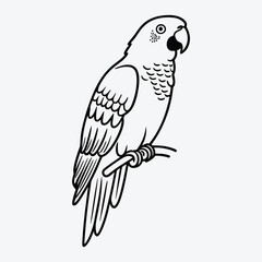 Fototapeta premium African Grey Parrot line art White background illustration Generative Ai