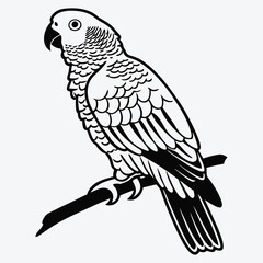 Fototapeta premium African Grey Parrot line art White background illustration Generative Ai