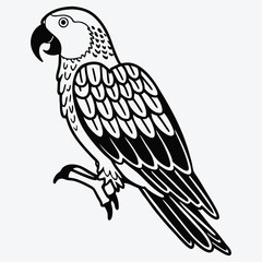 Fototapeta premium African Grey Parrot line art White background illustration Generative Ai