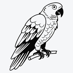 Fototapeta premium African Grey Parrot line art White background illustration Generative Ai