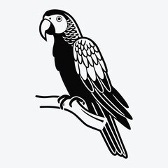 Fototapeta premium African Grey Parrot line art White background illustration Generative Ai