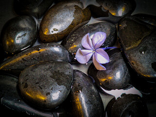 spa stones and flower