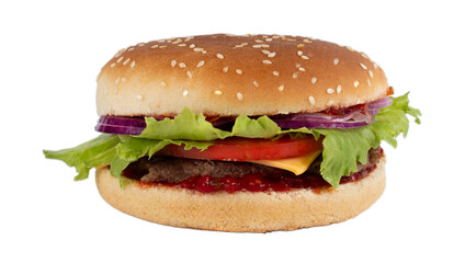 Head on view of a burger on a white background