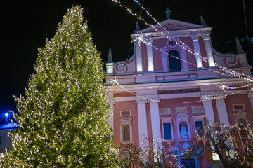 very big christmas tree and decorations of lights. a church on the right in Ljubljana, Slovenia. wooden tree. pine tree.