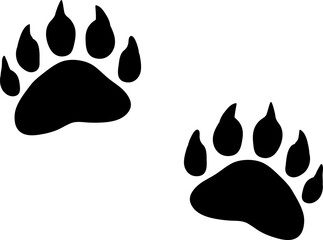 Two large black bear paw prints displayed against a white background, showcasing claws and pads with detailed impressions. Reminding of the bear s power and role as a predator in nature © Frogella.stock