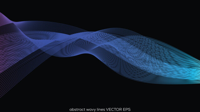 Vector wave lines flowing dynamic in colorful purple blue green isolated on black background for concept of AI technology  digital  communication  science  music