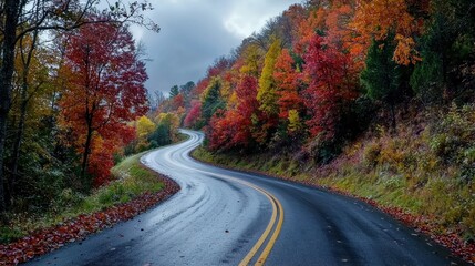 Fototapeta premium Winding autumn road through vibrant forest scenic drive nature landscape serene environment idyllic viewpoint seasonal beauty
