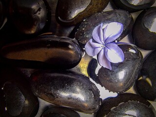 Zen black stones