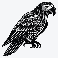 Fototapeta premium African Grey Parrot Silhouette White background illustration. Generative Ai