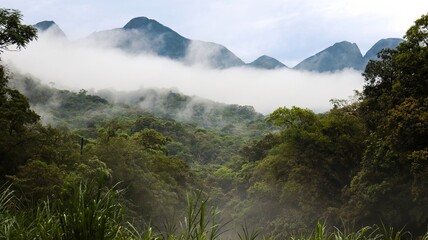Montanhas da Serra do Mar do estado do Paraná,  cercadas de nuvens. Região de Mata atlântica do...