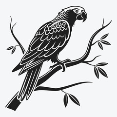Obraz premium African Grey Parrot vector White background illustration Generative Ai