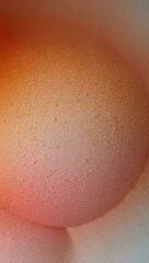 Fototapeta premium Peach fuzz gradient in soft orange and pink tones.
