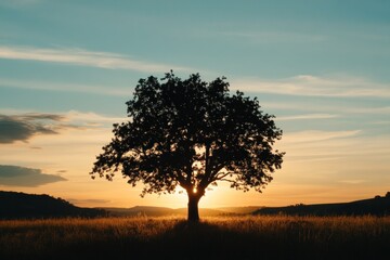 Solitary Tree Silhouette at Sunset Over Rolling Hills