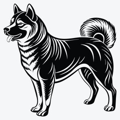 Obraz premium Akita Silhouette White background illustration. Generative Ai