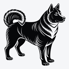 Obraz premium Akita Silhouette White background illustration. Generative Ai