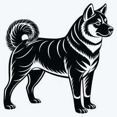 Fototapeta premium Akita Silhouette White background illustration. Generative Ai