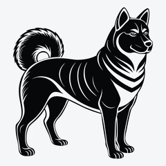 Obraz premium Akita Silhouette White background illustration. Generative Ai