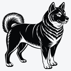 Obraz premium Akita Silhouette White background illustration. Generative Ai