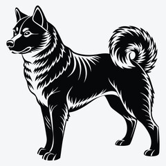 Obraz premium Akita Silhouette White background illustration. Generative Ai