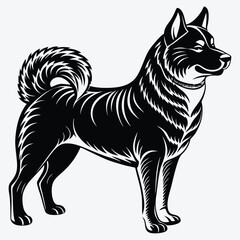 Obraz premium Akita Silhouette White background illustration. Generative Ai