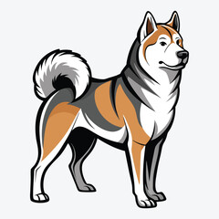 Obraz premium Akita vector White background illustration Generative Ai