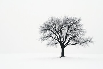 Obraz premium A solitary bare tree stands in a snowy field