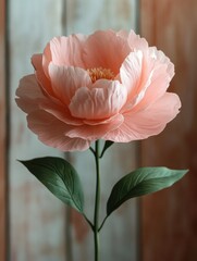 A delicate pink peony flower stands gracefully against a textured background.