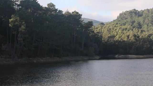 Sunlight illuminating forest by rio da mula dam in sintra