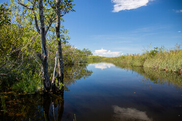 Obraz premium Endless view, Everglades National Park
