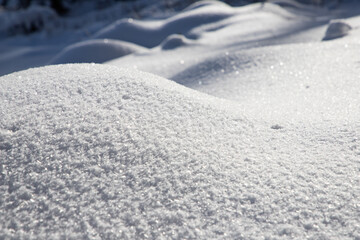 magical winter landscape with snowy fir trees