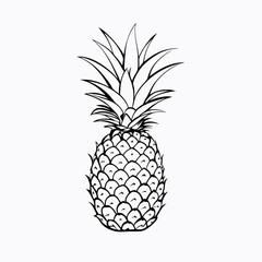 Fototapeta premium Outline illustration of a pineapple on a white background, copy space