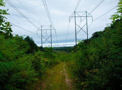 Power Lines In New England