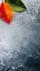 Autumn leaves on dark stone background.