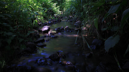 photo of stream in natural forest	