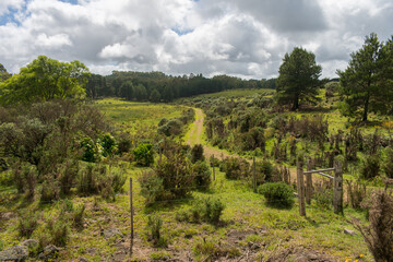 Naklejka premium A view of the countryside in Sao Francisco de Paula, South of Brazil