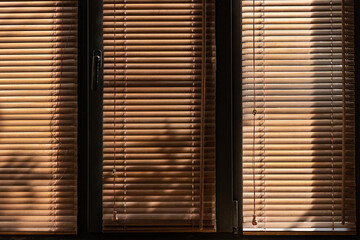 Russia.Saint-Petersburg. The light comes through the blinds on the window.