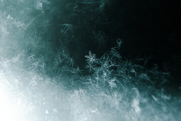 Snow flake 